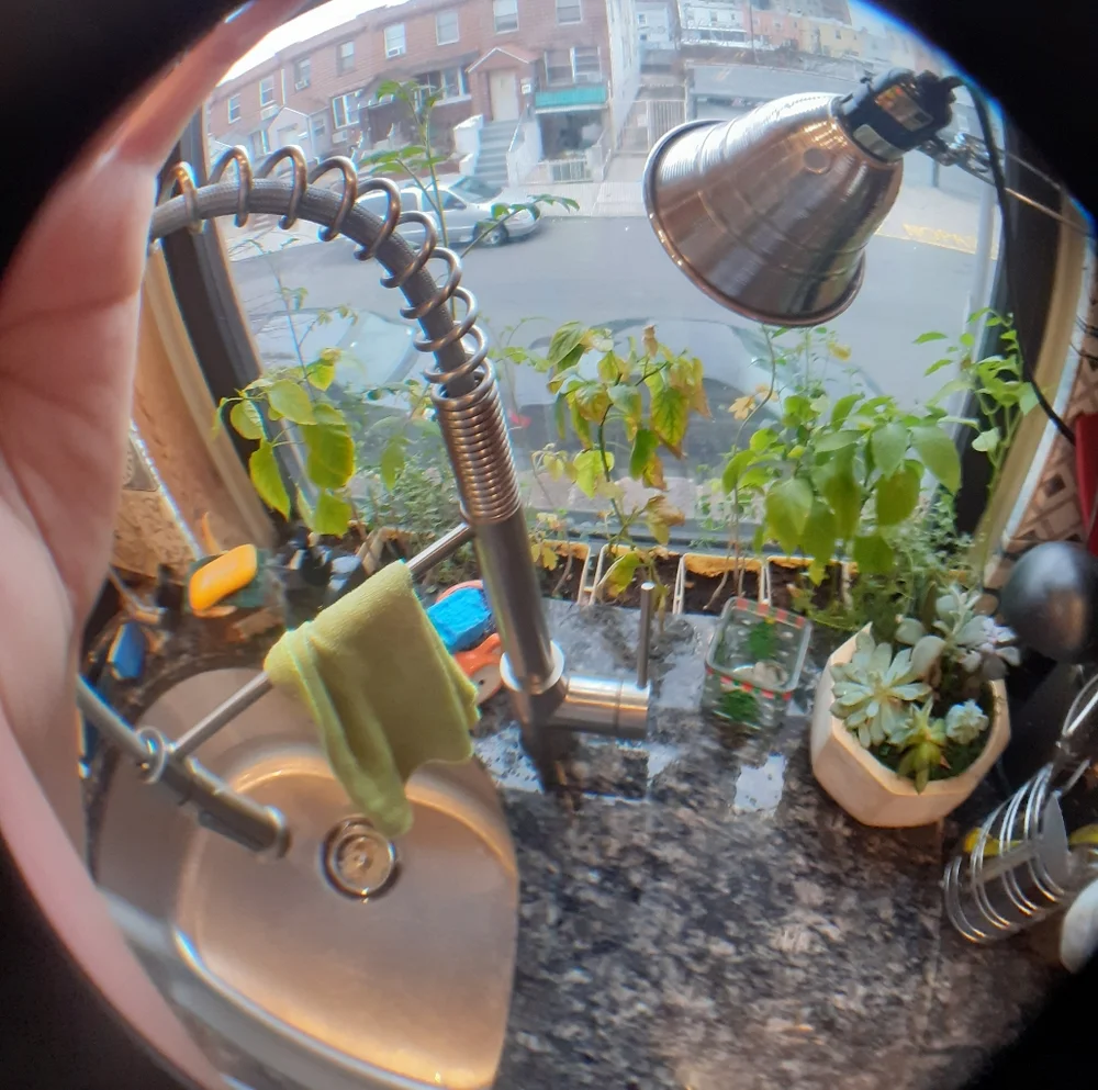 Fish eye lens for phone and ipad
